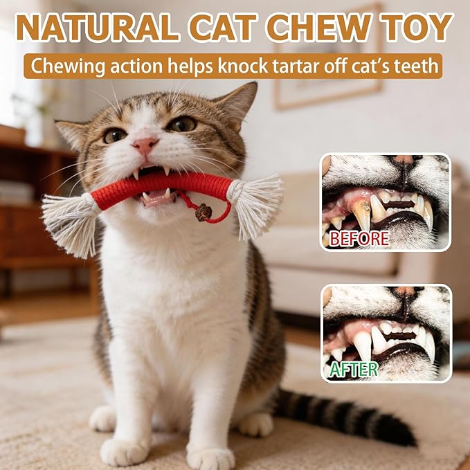 Cat Chew Ropes Toys for Indoor 6Pcs Cat Chew Toys with Refillable Natural Catnip Chew Toy for Safe Teeth Cleaning and Dental Care Interactive Kitten Nip Toys and All Breeds