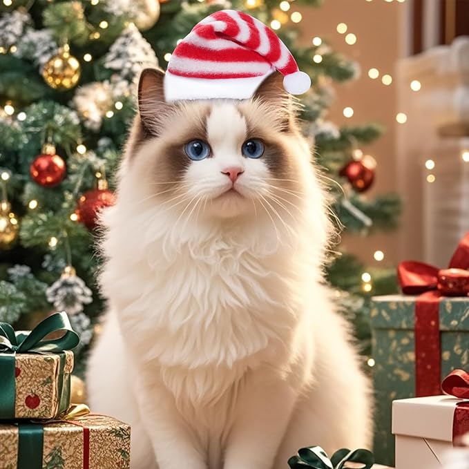 Jmkcoz 6 Pieces Pet Cat Dog Christmas Santa Hat Holiday Party Cute Costumes for Puppy Kitten Christmas Cosplay Dress Up Supplies (Striped)