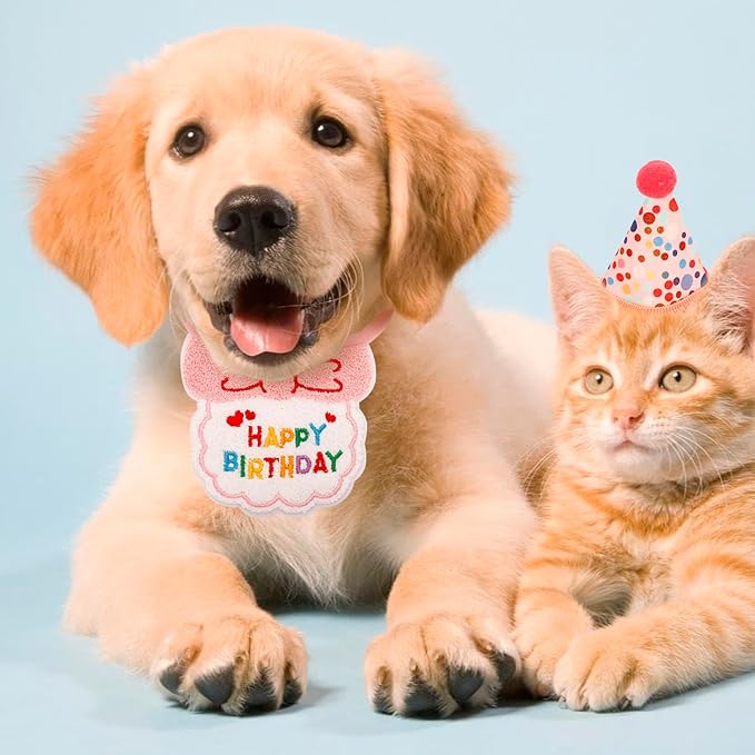 Cat Birthday Party Supplies - Cat Birthday Bandana Scarf & Party Hat (Pink, 4.33" x 5.51")