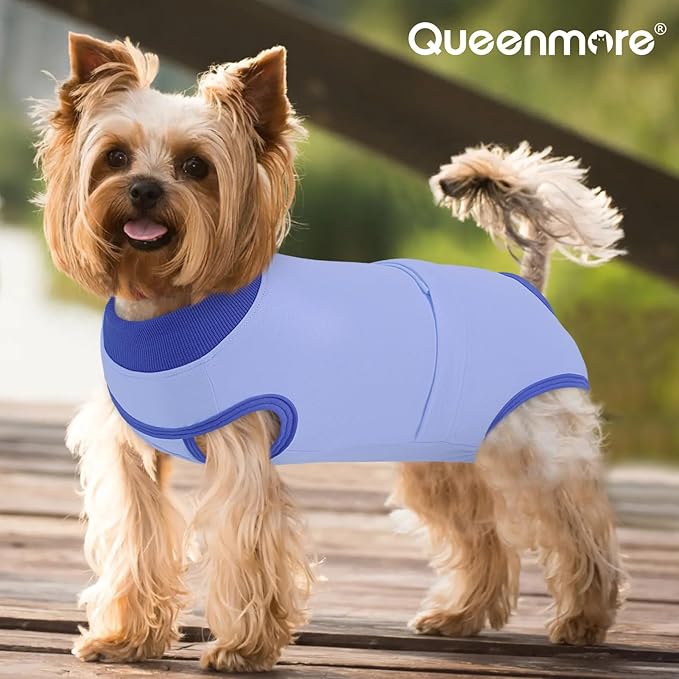 Queenmore Recovery Suit for Dogs, Dog Surgical Recovery Suit Onesie,Anti Licking Pet Female Spayed Neutered Puppy Surgical Clothes for Abdominal Wounds, Substitute E-Collar & Cone, Sky Blue,L