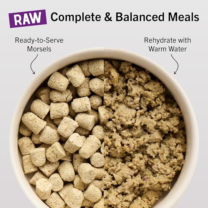 Stella & Chewy's Freeze-Dried Raw Cat Dinner Morsels - Premium Beef Recipe with 98% Grass-Fed Meat & Organs - Natural Grain-Free Cat & Kitten Food - Made in USA - 18 oz (Pack of 2)