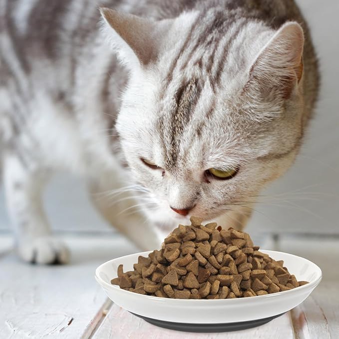 3pcs Shallow Small Cat Food Bowls with Nonslip Black Silicone Bottom Round Ceramic Cat Feeder Dishes for Safe Indoor Feeding and Watering
