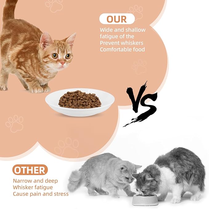 6 Pack Cat Food Bowl, Ceramic Cat Bowls, Anti Whisker Fatigue Cats Bowl Set,5.5 Inches Shallow Wide Kitten Plates for Food and Water (White-D)