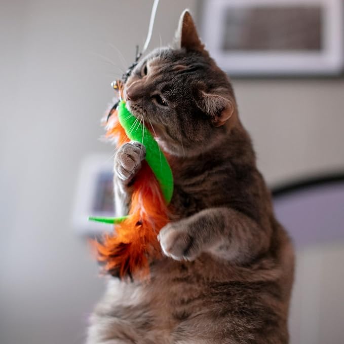 Cat Worm Toy, 12 PCS Cat Wand Toy Accessories Including Worm & Snake Refills Set, 2PCS Replacement String for Cats Fishing Pole Toys, Assorted Feather Toys Attachments Teaser for Indoor Cats Kitten