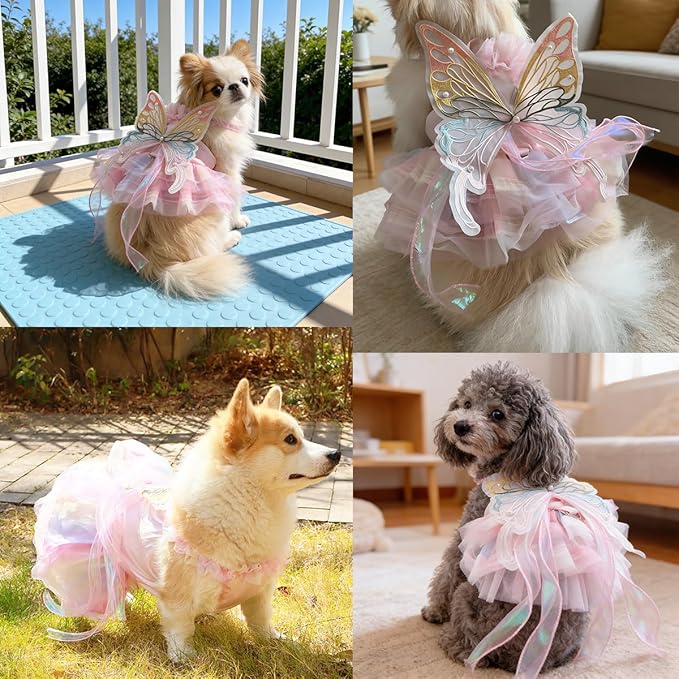 Rainbow Butterfly Princess Pet Skirt with D-Ring - Lace Tutu Set, Suitable for Puppies/Kittens, Chihuahuas, Yorkins, and Pomeranians | Holiday and Daily Wear (Rainbow-Butterfly, X-Large)