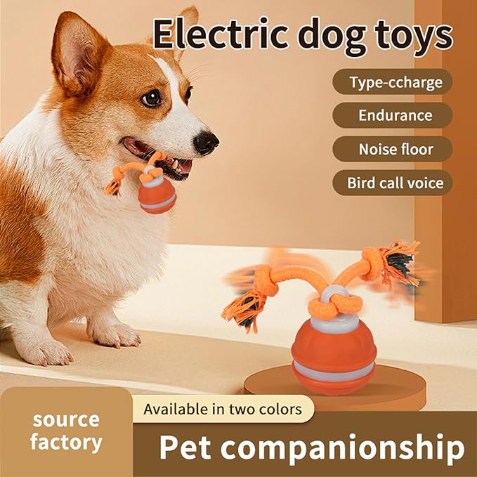 Interactive Dog Cat Toys Dog Ball,Automatic Rolling and Bouncing Moving Dog Toy,Squeaky Rolling Balls with Flashing Light,USB Rechargeable Chew Toys for Puppy Small Dogs, Pet Ball to Keep Them Busy