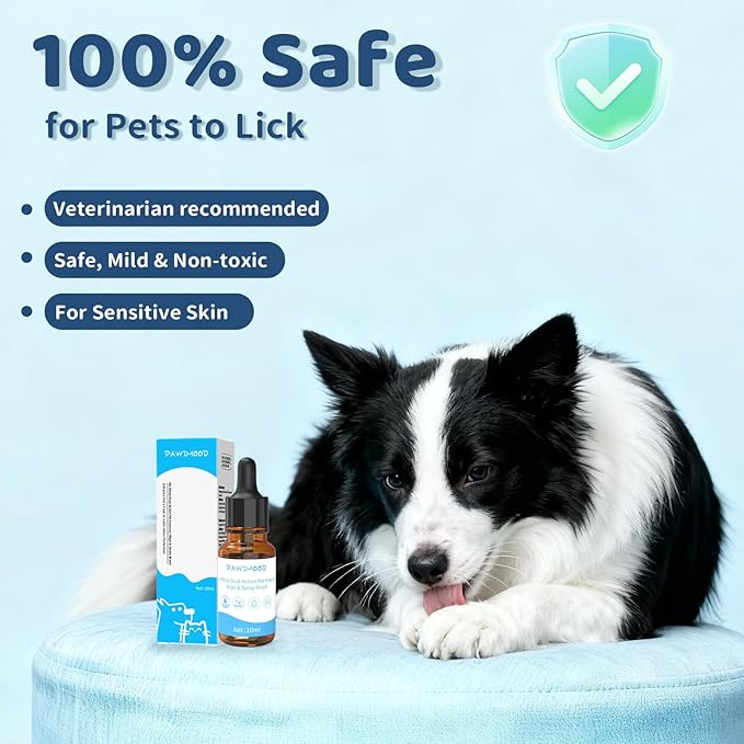 2 Pack No-Rinse Coat Care Essence for Dogs & Cats | Includes Fine Mist Spray Bottle (60ml/2oz Refillable) to Nourish & Shine | Conditioning Formula Soothes Skin, Pomegranate Scent (Transparent)