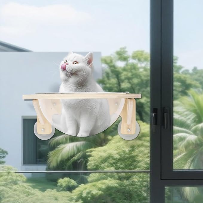 Wall-Mounted Space Capsule Cat Bed & Climbing Perch, 44 lbs Load Floating Furniture, Clear Bubble Window Lounge Cave for Large Cats, Rest & Play Station