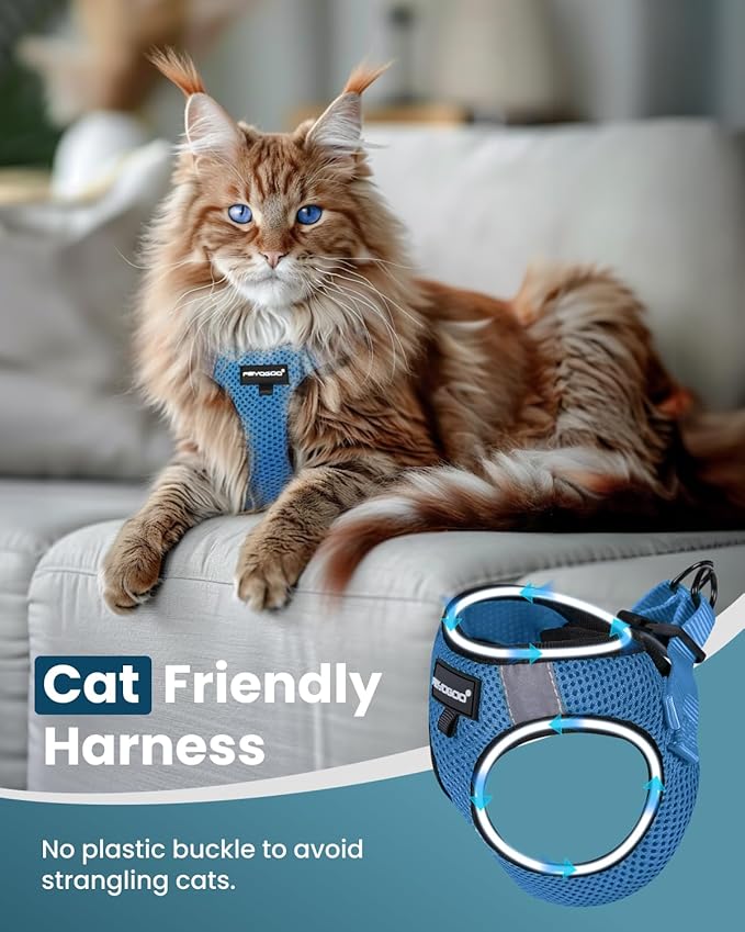 FAYOGOO Cat Harness, Cat Leash and Harness Set for Walking Escape Proof, Harness for Small Cats/Small Dogs, Large Kitten/Puppy Harness and Leash, Harness for Cats S-XXL(Tranquil Teal, Large)