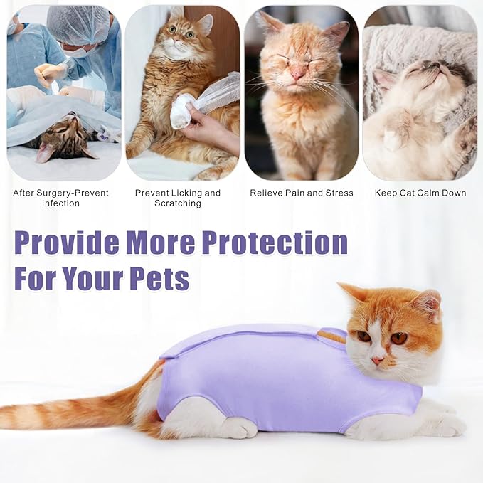 Idepet Cat Surgery Recovery Suit Kitten Onesie for Cats After Surgery Female Breathable Kitty Spay Suit for Abdominal Wound Skin Diseases E-Collar Alternative Wear(Purple,S)