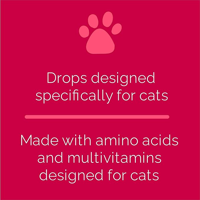 Ferrocat B12 Stimulates Immune System Appetite and Development in Adult Cats and Kittens