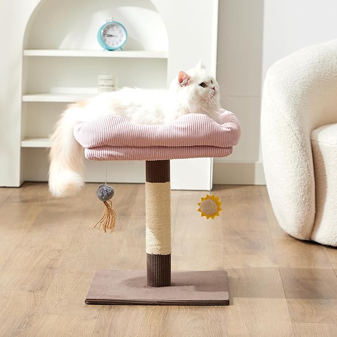 Gardner Pet 20" Cat Tree Corduroy, Solid Wood Small Cat Tree for Kittens & Indoor Cats (Brown, Square-Corduroy)