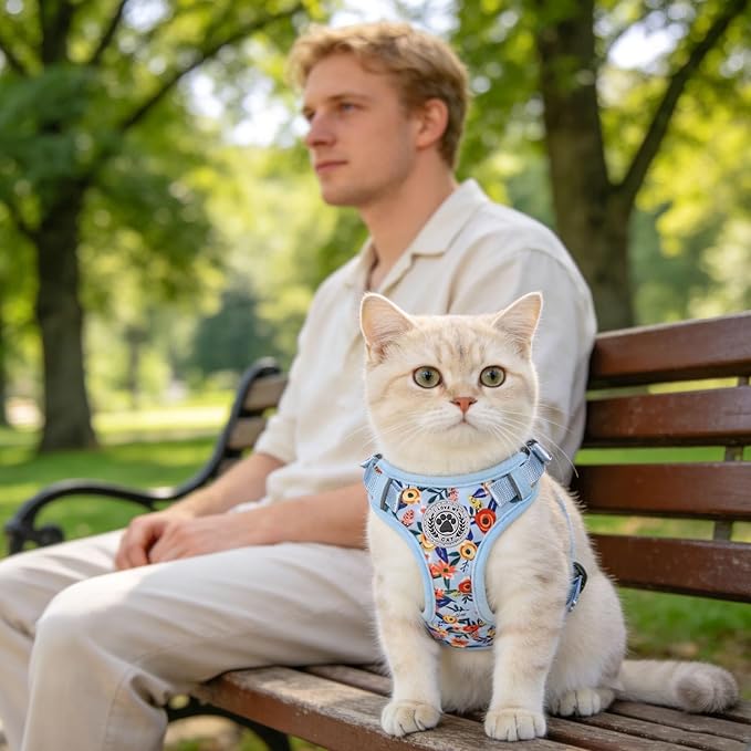 BEAUTYZOO Cat Harness and Leash Set for Walking Escape Proof, Neck Release Adjustable Harness for Kitten Puppy Small Medium Large Cats, Soft Cute Easy Control Small Cat Harness for Cats Boy and Girls