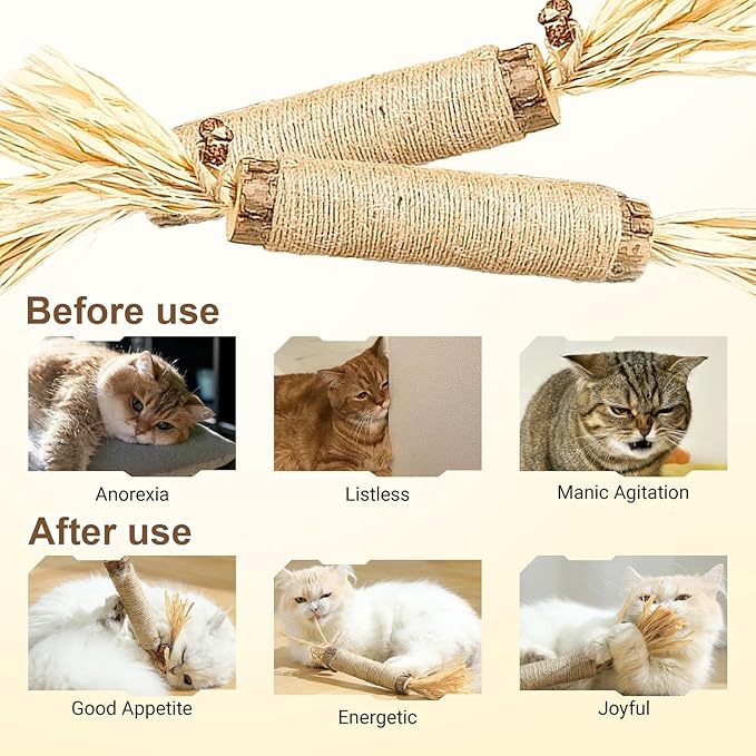 2 Pcs Natural Huge Silvervine Sticks Cat Toys - Large Catnip Toys Indoor Cats Interactive Matatabi Dental Care Teething Chew Toys for Cats and Kittens Who Love to Chew