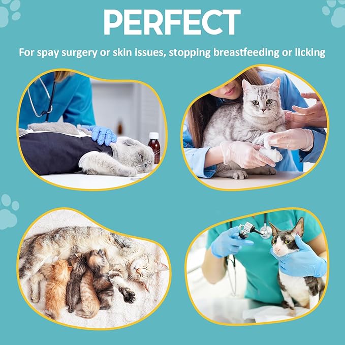 Avont Cat Recovery Suit - Post-Surgery Onesie for Cats, Alternative to Cone of Shame, Protective Spay Suit for Female Kitten, Ideal for Healing and Skin Conditions -Magenta(M)