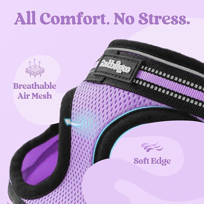 rabbitgoo Cat Harness and Leash Set for Walking Escape Proof, Adjustable Soft Kittens Vest with Reflective Strip for Cats, Comfortable Outdoor Vest, Light Purple, M