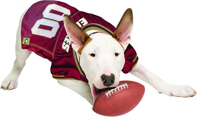 Pets First NCAA College Boston College Eagles Mesh Jersey for DOGS & CATS, X-Small.Licensed Dog Jersey with your Favorite Football/Basketball College Team