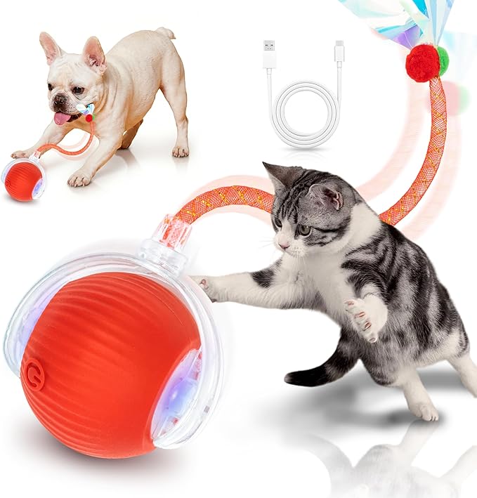 Interactive Cat Toys for Indoor Cats Smart Automatic Ball Rolling for Bored Kitten Pet Upgraded Speedy Moving Chase Dogs Toy Mothers Day Gifts Red Dragonfly