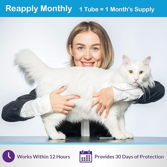 Topical Flea and Tick for Cats & Kittens: Waterproof Topical Cat Flea and Tick – Fast-Acting & Long - Lasting at Home Control for Cats Over 1.5 lbs and 8 Weeks or Older – 12-Dose Supply