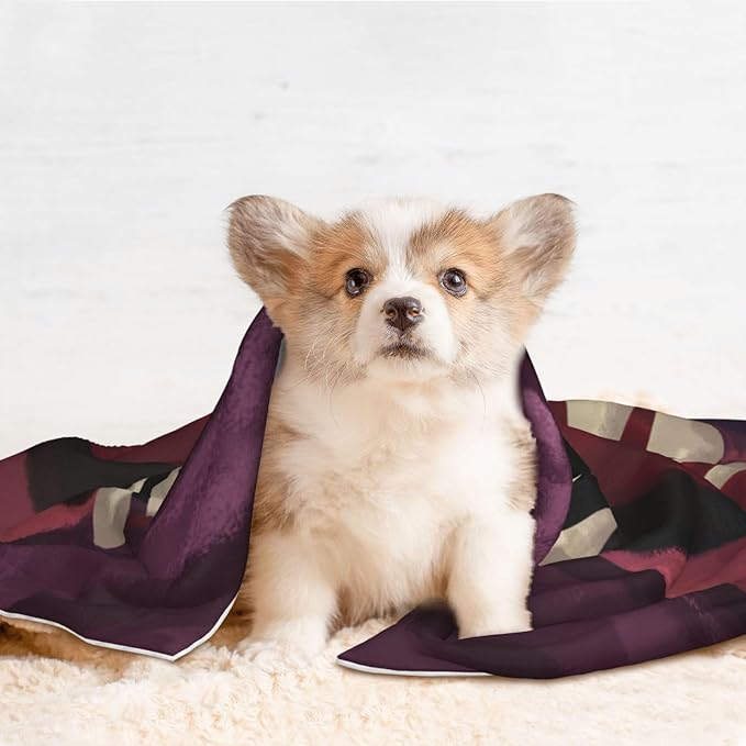 Pet Blanket,Warming Ultra Soft Warming Mat for Indoor Pet Beds & Furniture Reversible Blanket Machine Washable 27.6 * 19.7Inch,Monster Pattern