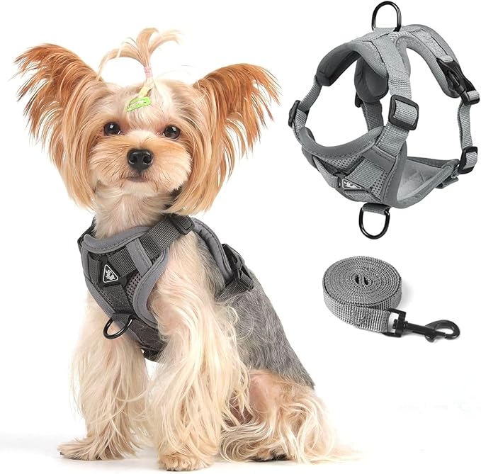 Cat Harness and Leash Set, Upgraded Escape Proof Adjustable Kitten Vest with Lead for Small Cat Outdoor Walking, Soft Breathable Mesh Jacket with Reflective Strips for Dark Night (S, Mature Gray)