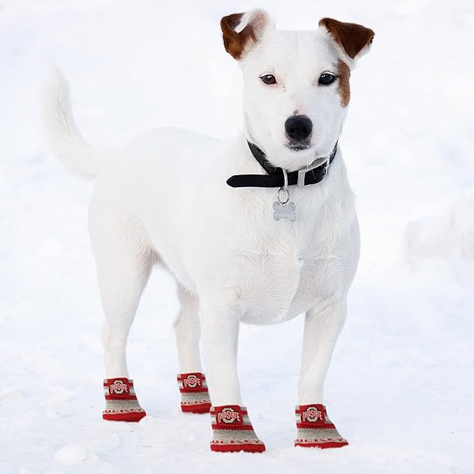 NCAA Ohio State Buckeyes Anti Slip Dog Socks with Elastic Ribbed Top, Size X-Small/Small. Indoor/Outdoor Socks, Best Dog Paw Protector, 2 Pairs of Pet Socks with Your Favorite Collegiate Sports Team