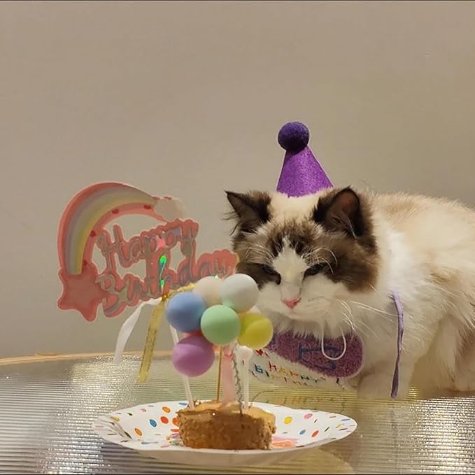 Lasflores Purple Girl Cat Birthday Supplies Set - Kitten Hat, Number Decor & Happy Birthday Banner Outfits