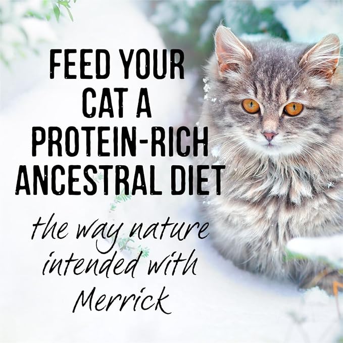 Merrick Backcountry Grain Free Premium And High Protein Wet Cat Food, Beef Recipe Cuts Morsels In Gravy - (Pack of 24) 3 oz. Pouches