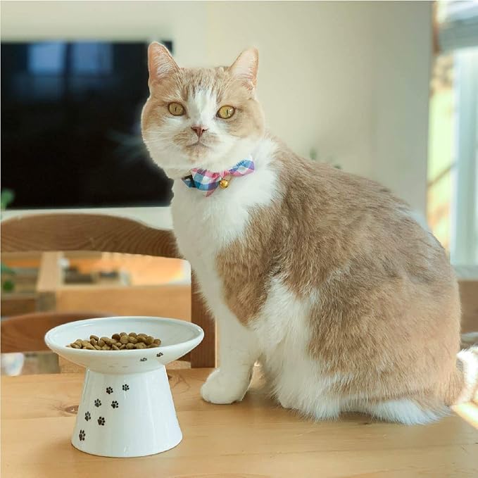 Purrfect Picnic Bow Tie Cat Collar (Blue) with Bell Safety Breakaway Soft Lightweight for Cats Kitty Kitten Japanese Stylish Pattern, No.1 Seller in Japan