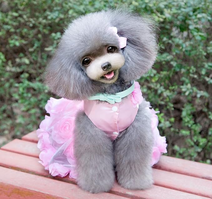 SMALLLEE_Lucky_Store Pet Small Dog Wedding Dress with Bowknot Birthday Party Costume Satin Rose Pearls Girl Formal Dress Cat Tutu Pink, Small