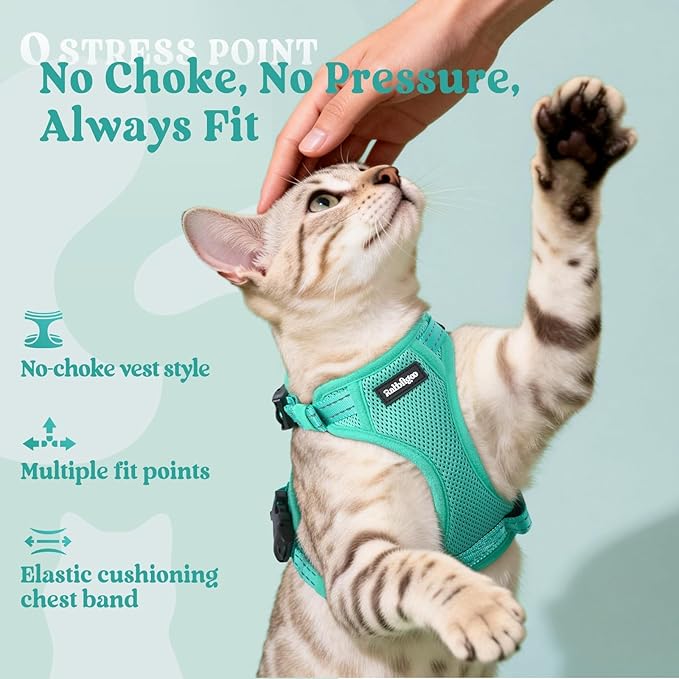 rabbitgoo Cat Harness and Leash, Escape Proof Vest with 3 Adjustable Buckles, Soft Comfortable Kitten Harness, Easy to Wear, Reflective for Safe Outdoor Walking, Small, Green
