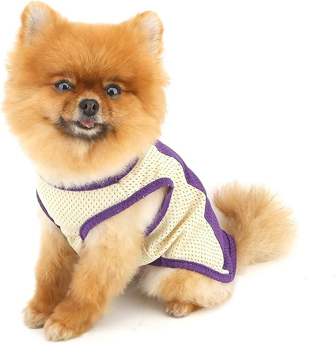 PAIDEFUL Breathable Mesh T-Shirt for Small Dogs Summer Doggie Cool Vest Soft Lightweight Puppy Tee Shirts Sleeveless Pet Tank Top Sweatshirts Cozy Chihuahua Clothes Cat Apparel D-Ring,Purple,XL
