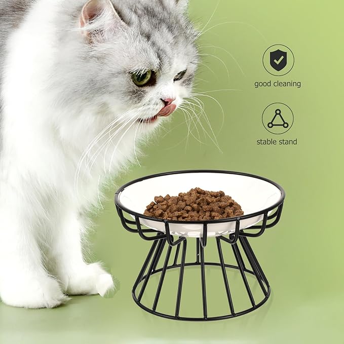 TOYANDONA Elevated Ceramic Cat Bowl Set with Neck Guard, Non-tip Black Iron Rack, Fishbone Plate Design for Indoor Pet Feeding and Watering
