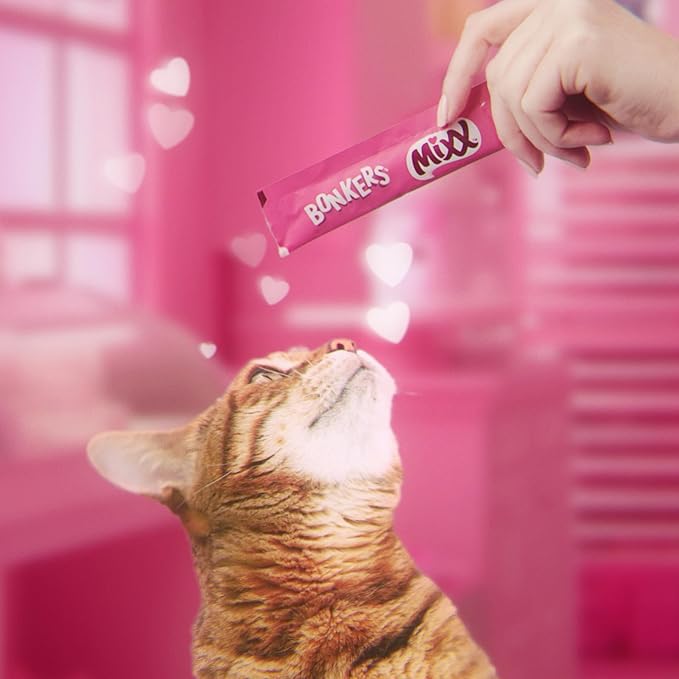 Bonkers Mixx, Wet Lickable Tube Tender Chicken Flavor Cat Treats, Real Meat, Training or Food Topper, for All Breeds and Ages (4 Pieces) (Pack of 4)