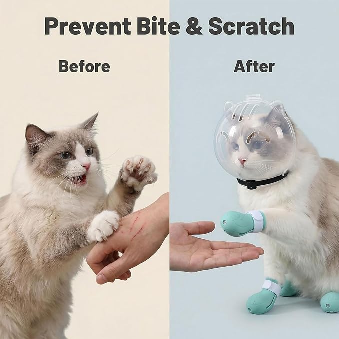 Transparent Cat Helmet with 4 Silicone Paw Covers, Adjustable Breathable Cat Muzzle Restraint for Bathing, Nail Trimming & Grooming (M)