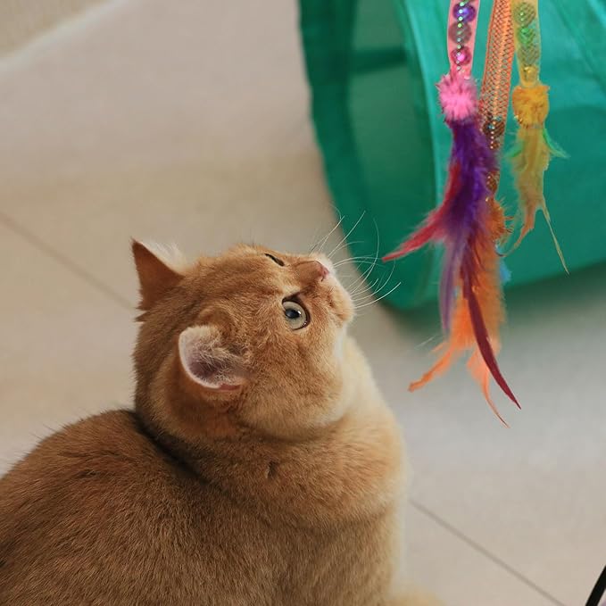 Interactive Cat Toys with Feather, Stretchable Mesh Tubes Toys with Bell and Catnip Inside, Colorful Interactive Play String for Cats and Kittens, 3 Pcs