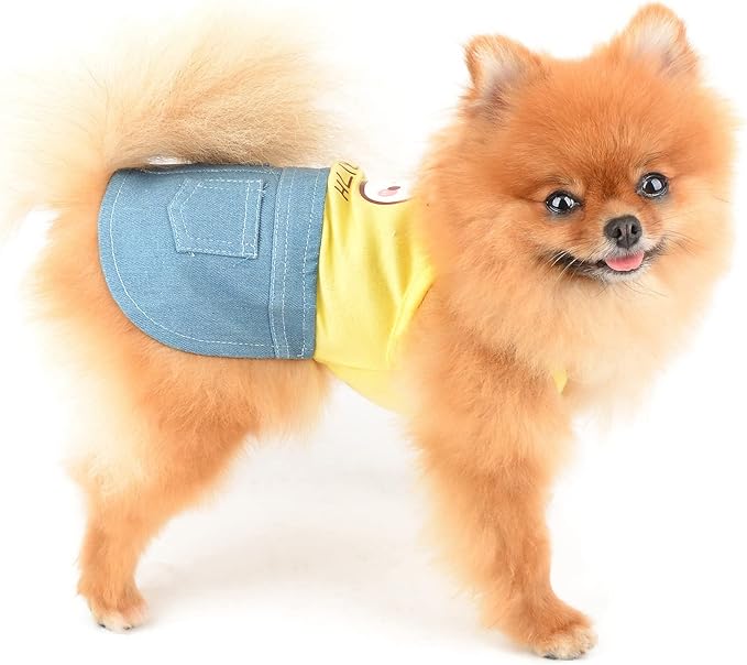 PAIDEFUL Small Girls Dog Denim Dress Spring Summer Sundress Cartoon Patch Soft Comfortable Puppy Clothes Cute Sleeveless Pullover Cats Costume Birthday Party, Yellow, XS