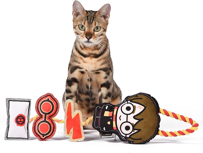 Harry Potter Cat Toy, Door Hanger with Catnip | Door Hanger Cat Toy with Harry Potter, Lightning Bolt, Glasses, and Hogwarts Invitation Plush with Catnip Components on Rope 22 Inch