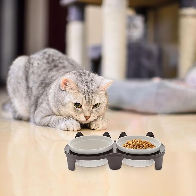 Ceramic Elevated Cat Bowl Set with Thick Double Bowls and Brown Sturdy Stand, Angled Feeding and Watering Dish for Indoor Cats and Kittens