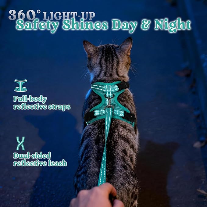 rabbitgoo Cat Harness and Leash, Escape Proof Vest with 3 Adjustable Buckles, Soft Comfortable Kitten Harness, Easy to Wear, Reflective for Safe Outdoor Walking, Medium, Green