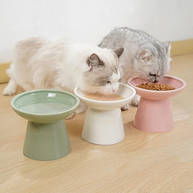 CEEFU Extra Wide Elevated Ceramic Cat Bowl, 6.2" Shallow Dish for Whisker Fatigue Relief, 5" Height for Easy Feeding, Durable Raised Cat Food Bowls, Pack of 2, White