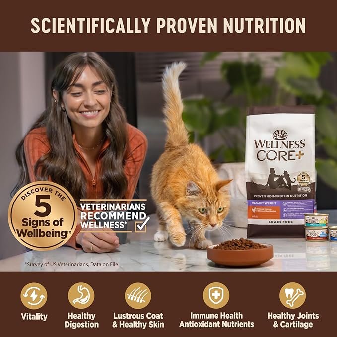 Wellness CORE+ Adult Dry Cat Food, Natural, Wholesome Grains Kibble, Digestive Health Chicken and Rice Recipe, 11 lb Bag
