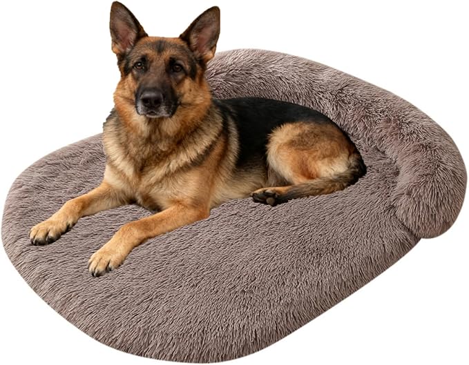 Orthopedic Dog Bed with Egg-Crate Base, Calming Dog Beds Fluffy Plush Faux Fur with Raised Edges, Spine Friendly Pet Sleeping Mat for Medium Large Dogs, Machine Washable (Oval, Brown 40"x30")