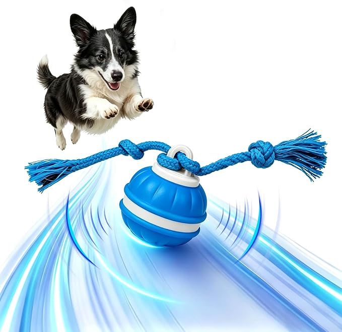 Interactive Dog Ball, 360° Self-Moving Dog Toy with LED Lights & Squeaker, Automatic Fetch Toy for Boredom & Training, USB-C Rechargeable Smart Pet Toy for Small Medium Dogs & Cats