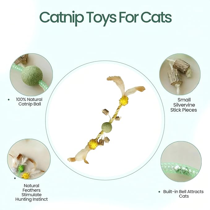 Catnip Toys for Cats, 5 Pcs Interactive Cat Toys Set with Silvervine Sticks, Squeaky Plush Mouse & Chirping Bird, Organic Catnip Dental Chew Toys for Kitten Teething & Boredom Relief