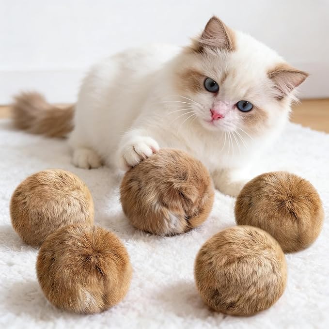Catnip Cat Toys 5 Pack Interactive Chew Kitten Ball Cat Catnip Toys for Indoor Cats Exercise Cat nip Toy to Stimulate Play & Reduce Boredom
