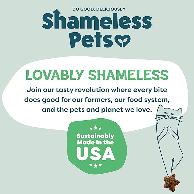 Shameless Pets Crunchy Cat Treats - Catnip Treats for Cats with Digestive Support, Natural Ingredients Kitten Treats with Real Chicken, Healthy Flavored Feline Snacks - Catnip N Chill, 3-Pk