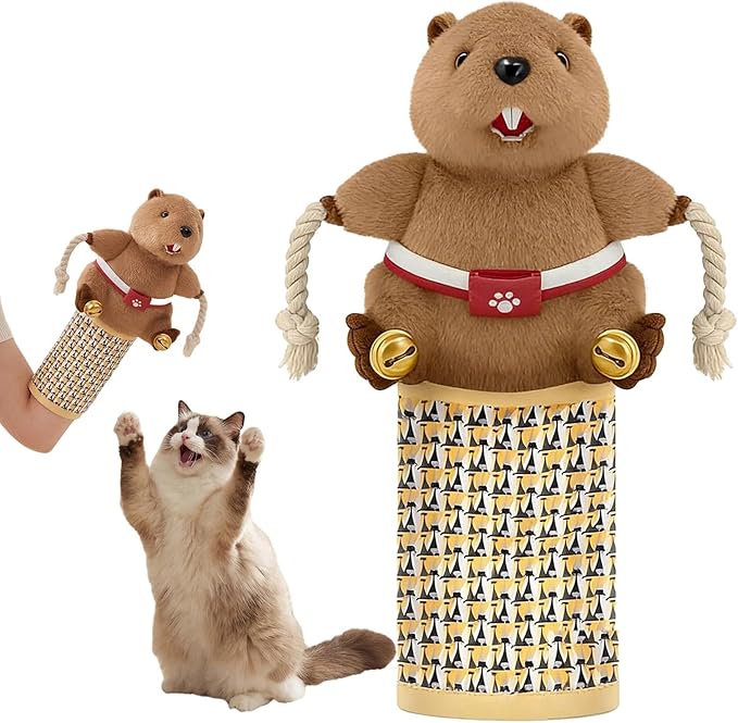 Interactive Cat Toys Cute Play Set with Wrestling Glove, Karate Kitty, Catsumo, Wrestling Puppet, Fun Interactive Toy for Indoor Cats & Kittens