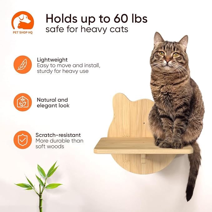 Cat Wall Shelves Furniture for Climbing - Cat House Wall Mounted - Indoor Wooden Floating Furniture - Different Models Including Shelves, Perches, Hammock, Bed, Bridges, Walkways