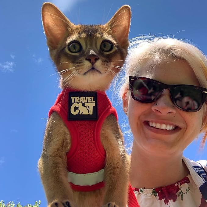 Travel Cat Harness and Leash Set - Adjustable Fit Mesh Cat Harness and Reflective Strap - Comfort Walking Vest for Kitten for Outdoor Walking, Hiking (Large, Red)